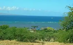 shrubs, vacation homes, sea, and island in distance