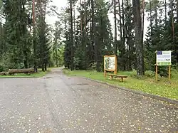 Forests of Kazlų Rūda