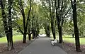 Central Park