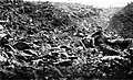 Bodies on the Kemmelberg in April 1918