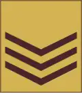 Sergeant (Kenya Army)[78]