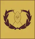 Warrant officer class 2 (Kenya Army)[63]