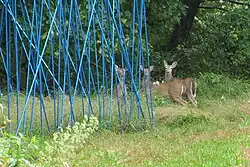 Kept Out