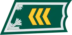 Kersantti (Finnish Army)[69]