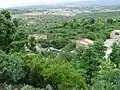 Kesra nature reserve