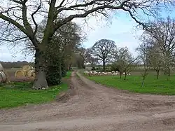 Kexby Stray