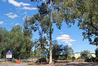 Kialla West Primary School, 2011