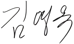 Signature of Kim Young-ok