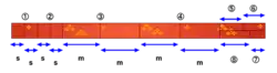 A diagram showing how a tanmono is cut into the pattern pieces for a kimono.