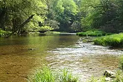 Kinzua Creek