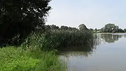 Kitnowo Park