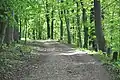 Drive at edge of slope in Böttcherberg-Park