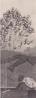 Yearnings