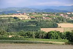 Kneževac