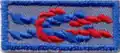 Air Scout Ace Award