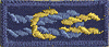 Cub Scouter Award