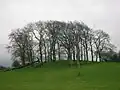 The Knoll or Knowe on the Cunninghamhead road, locally known as Bowie's Munt