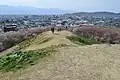 Panoramic view