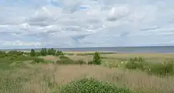 Lake Peipsi Järv near Kolkja