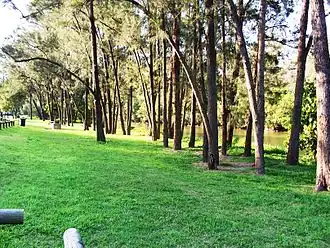 Kookaburra Park, near the Brisbane River