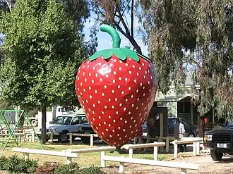 The "Big Strawberry"