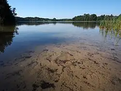 Valgjärv in Jeti