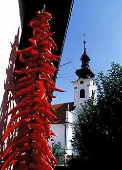 Reformed Church in Kopačevo