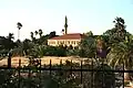 View from afar