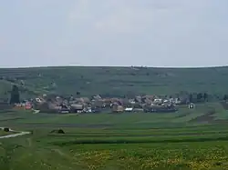 Cotormani