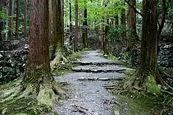 The sandō at Kōzan-ji, Kyoto