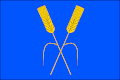 Flag of Kozolupy