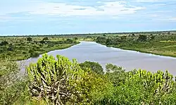 A view of a river in midsummer in the Kruger National Park. It features a river surrounded by lush, green vegetation.
