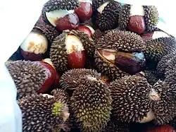 Kubili nuts