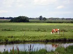 Typical landuse
