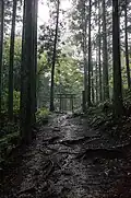 The Kumano Kodō near Hosshinmon-oji.