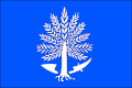 Flag of Kunín