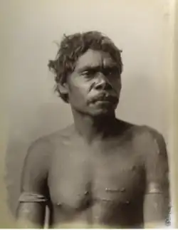 Portrait photograph of a shirtless Aboriginal man with bands around his upper arms