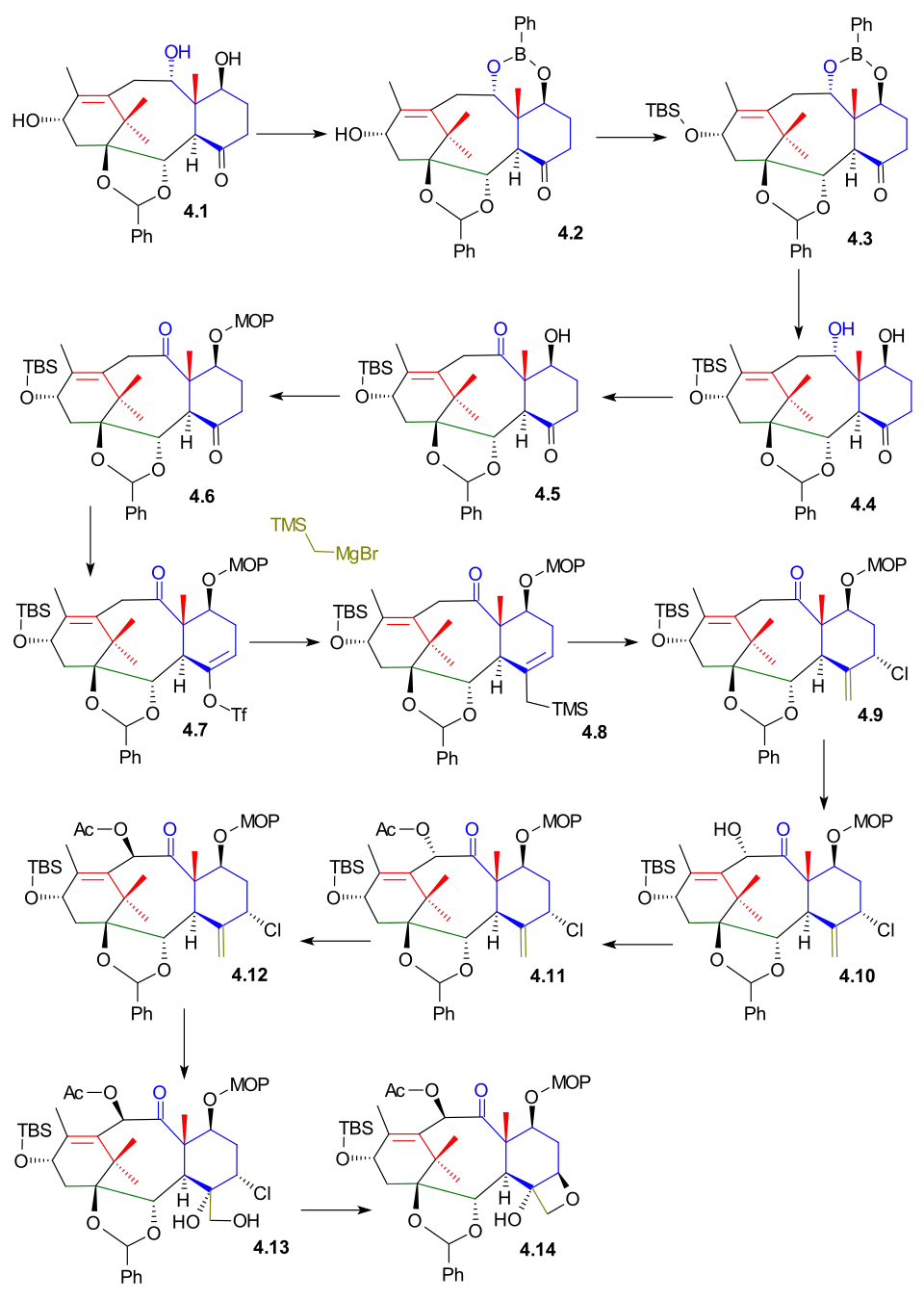 Kuwajime Taxol scheme 4