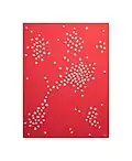 earthenware ceramic elements on wood, covered with Plexiglas