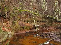 Lüütre valley outcrop and Lüütre stream in Sarja