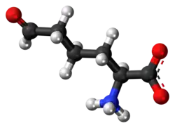 Ball-and-stick model of the L-allysine molecule as a zwitteiron