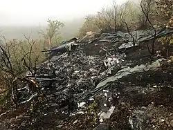 Remains of a helicopter in wooded, mountains terrain. The tail is the only part of the helicopter that remains whole. The plants and ground around the wreck are charred black.