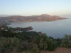 Other view