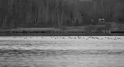 North shore of the lake