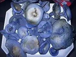 About two dozen blue mushroom of varying sizes on a plate