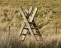 Ladder stile in Snowdonia