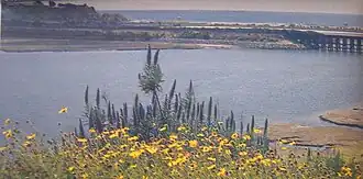 Batiquitos Lagoon, a breeding site in San Diego County, California