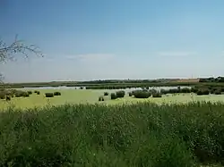 a view of Vega lake surrounded by marshlands on flat, almost treeless terrain