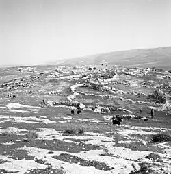 Black-and-white 1956 photograph of the hill of Horvat Rimmon, with scattered grazing animals and herders in the foreground, and a few buildings and distant hills visible on the horizon