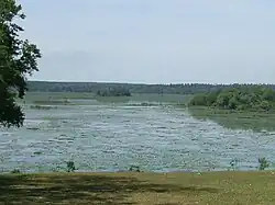 View of Lake Iamonia
